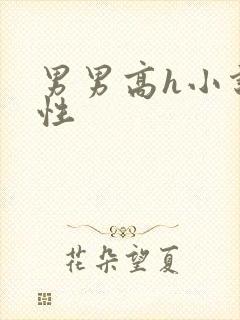 男男高h小说双性