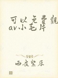 可以免费观看的av小毛片