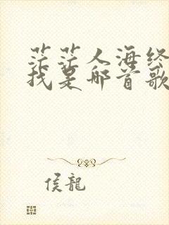茫茫人海终生寻找是哪首歌的歌词
