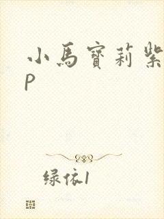 小马宝莉紫悦cp