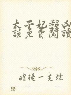 太子妃超凶的小说免费阅读