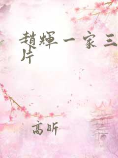 赵辉一家三口照片