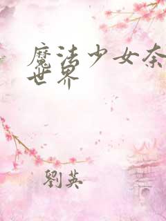 魔法少女奈叶之世界