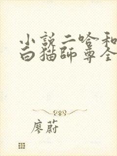 小说二哈和他的白猫师尊全文下载