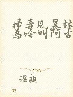 扫毒风暴林强峰为啥叫阿古