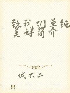致我们单纯的小美好简介