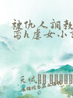 被仇人调教成禁脔h虐女小说