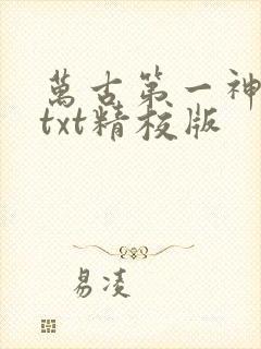 万古第一神小说txt精校版
