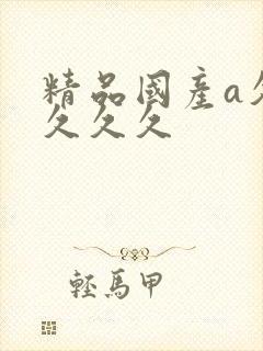 精品国产a久久久久久