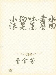 小狗吐黄水带泡沫是怎么回事