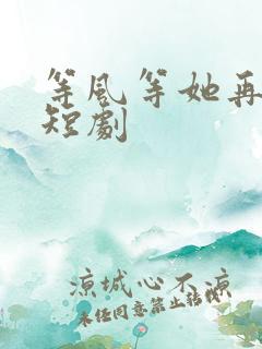 等风等她再回头短剧