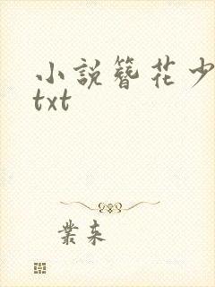 小说簪花少年郎txt