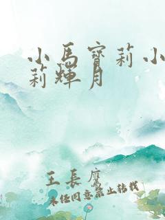 小马宝莉小马宝莉辉月