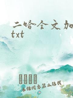 二哈全文加番外txt