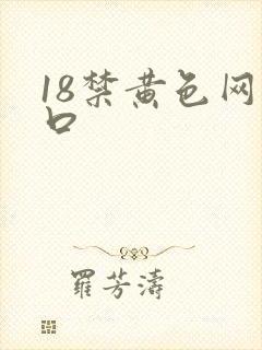 18禁黄色网入口