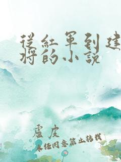 从红军到建国封将的小说
