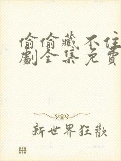 偷偷藏不住电视剧全集免费观