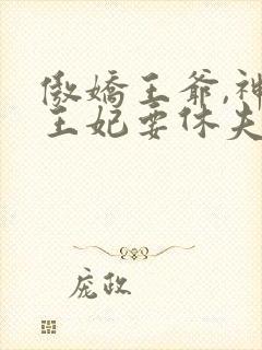 傲娇王爷,神医王妃要休夫