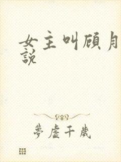 女主叫顾月的小说