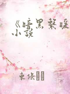 《暗黑系暖婚》小说