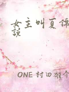 女主叫夏锦的小说