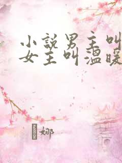 小说男主叫慕白女主叫温暖