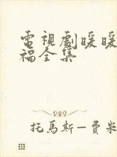 电视剧暖暖的幸福全集