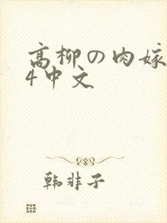 高柳の肉嫁1～4中文