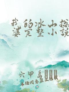 我的冰山总裁老婆完整小说