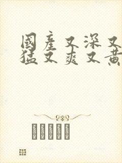 国产又深又粗又猛又爽又黄