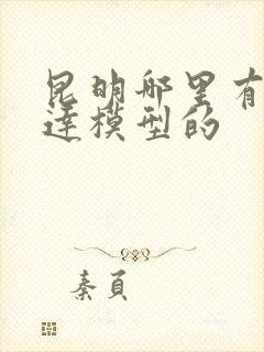 昆明哪里有卖高达模型的