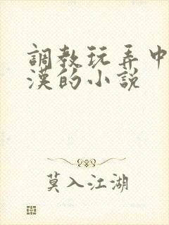 调教玩弄中年壮汉的小说