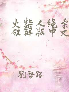 火柴人绳索英雄破解版中文版