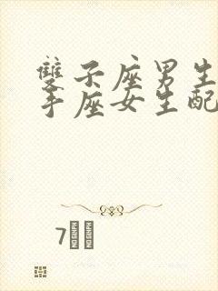 双子座男生和射手座女生配对指数