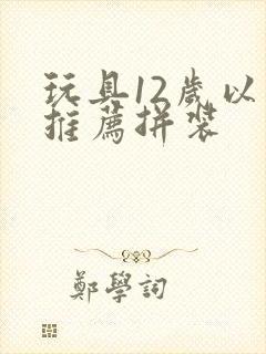 玩具12岁以上推荐拼装