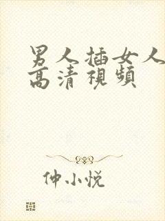 男人插女人下面高清视频