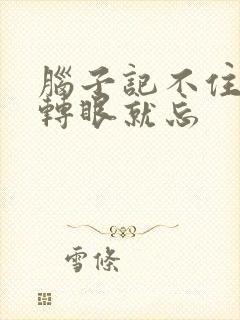 脑子记不住事儿转眼就忘