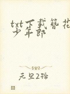 txt下载簪花少年郎
