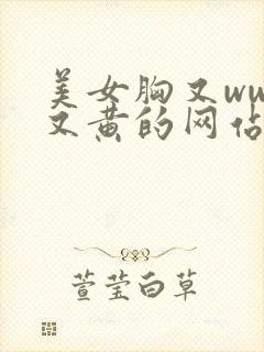 美女胸又www又黄的网站,