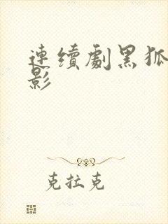 连续剧黑狐之风影