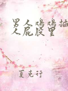 男人鸡鸡插到女人屁股里