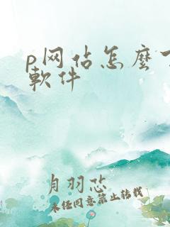 p网站怎么下载软件