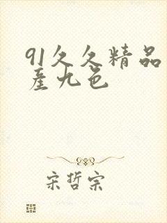 91久久精品国产九色