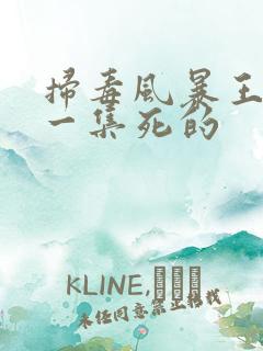 扫毒风暴王辉哪一集死的