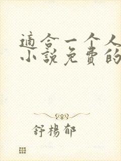 适合一个人看的小说免费的