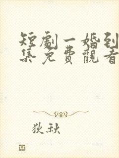 短剧一婚到底全集免费观看