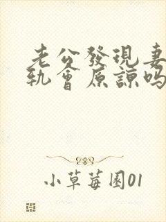 老公发现妻子出轨会原谅吗