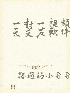 一对一视频 聊天交友软件