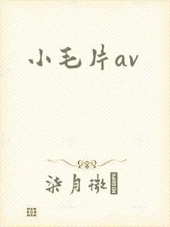 小毛片av