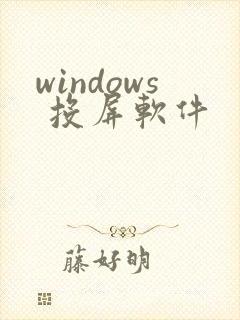 windows 投屏软件
